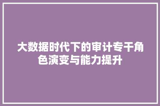 大数据时代下的审计专干角色演变与能力提升
