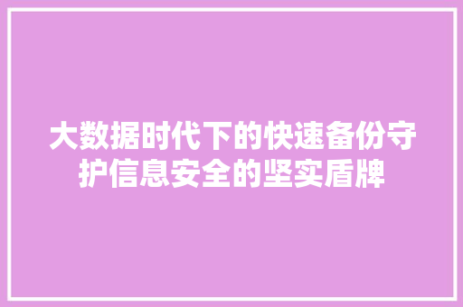 大数据时代下的快速备份守护信息安全的坚实盾牌