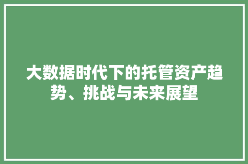 大数据时代下的托管资产趋势、挑战与未来展望