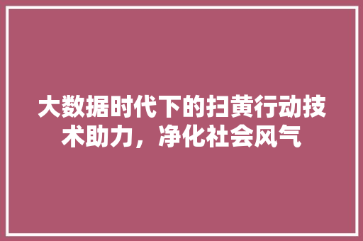 大数据时代下的扫黄行动技术助力，净化社会风气