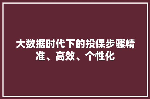 大数据时代下的投保步骤精准、高效、个性化