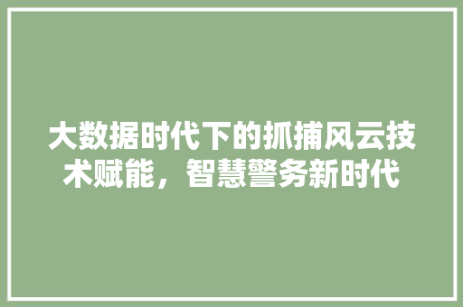 大数据时代下的抓捕风云技术赋能，智慧警务新时代
