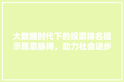 大数据时代下的投票排名提示民意脉搏，助力社会进步