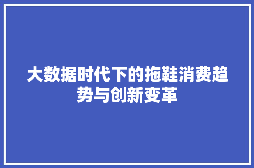 大数据时代下的拖鞋消费趋势与创新变革