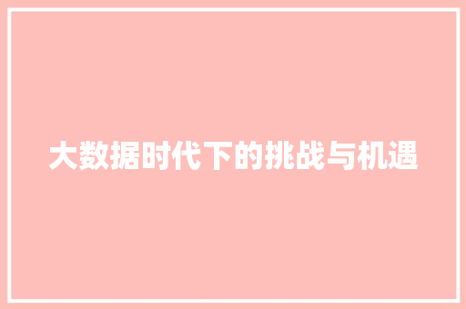 大数据时代下的挑战与机遇