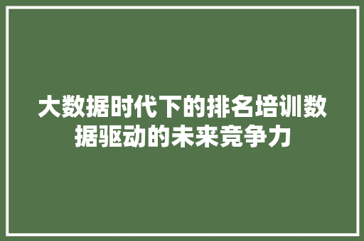 大数据时代下的排名培训数据驱动的未来竞争力 网络技术