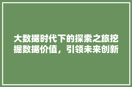 大数据时代下的探索之旅挖掘数据价值，引领未来创新