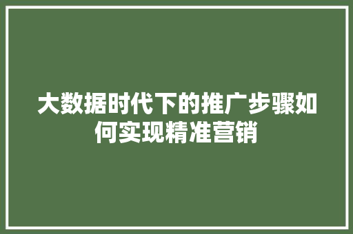 大数据时代下的推广步骤如何实现精准营销 电脑基础