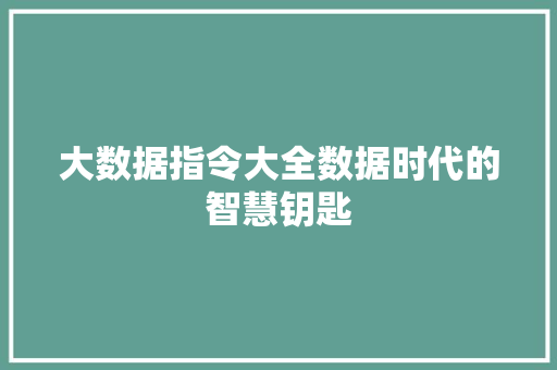 大数据指令大全数据时代的智慧钥匙 电脑故障维修