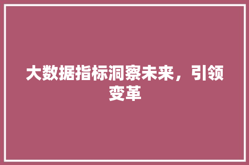 大数据指标洞察未来，引领变革 编程语言
