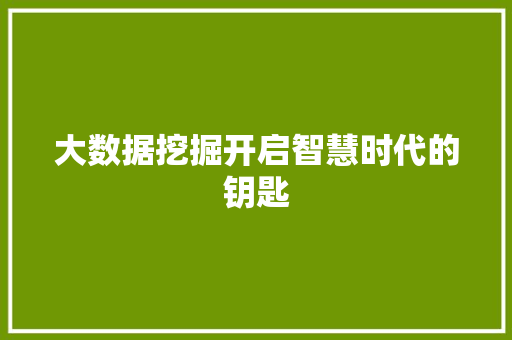 大数据挖掘开启智慧时代的钥匙