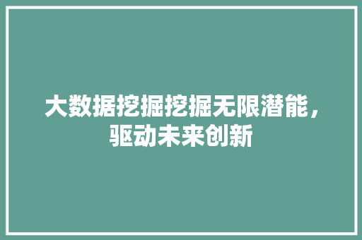 大数据挖掘挖掘无限潜能，驱动未来创新