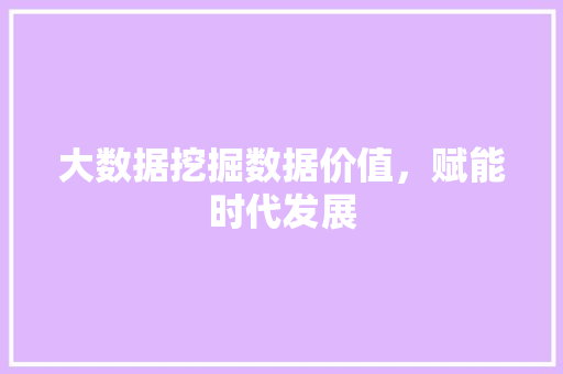 大数据挖掘数据价值，赋能时代发展
