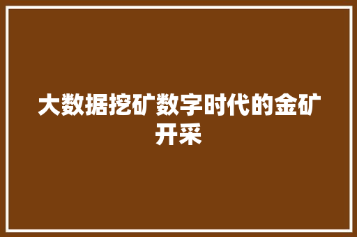 大数据挖矿数字时代的金矿开采