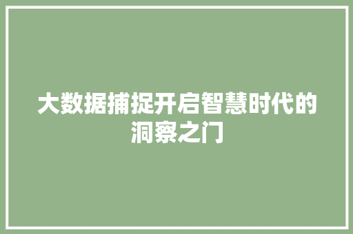 大数据捕捉开启智慧时代的洞察之门
