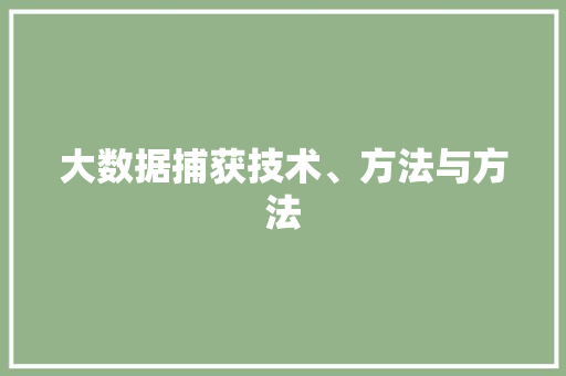大数据捕获技术、方法与方法