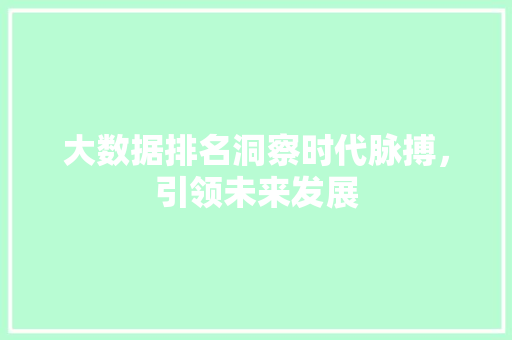 大数据排名洞察时代脉搏，引领未来发展 网络技术