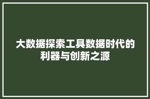 大数据探索工具数据时代的利器与创新之源