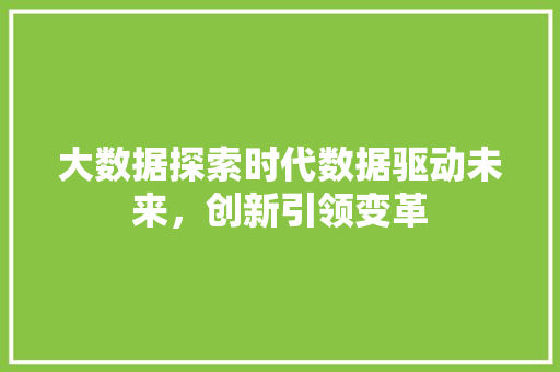大数据探索时代数据驱动未来，创新引领变革