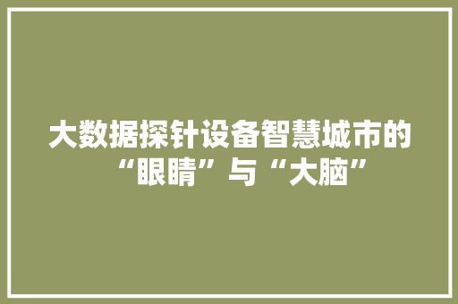 大数据探针设备智慧城市的“眼睛”与“大脑”