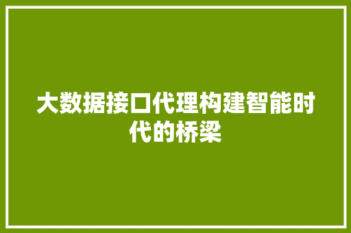 大数据接口代理构建智能时代的桥梁