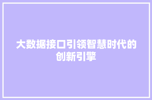 大数据接口引领智慧时代的创新引擎