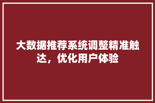 大数据推荐系统调整精准触达，优化用户体验