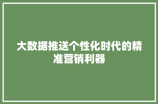大数据推送个性化时代的精准营销利器