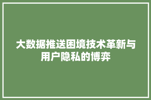 大数据推送困境技术革新与用户隐私的博弈