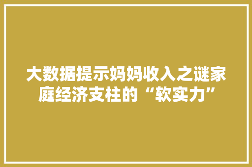 大数据提示妈妈收入之谜家庭经济支柱的“软实力”