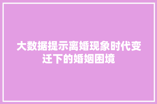 大数据提示离婚现象时代变迁下的婚姻困境
