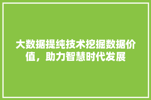 大数据提纯技术挖掘数据价值，助力智慧时代发展 电脑故障维修