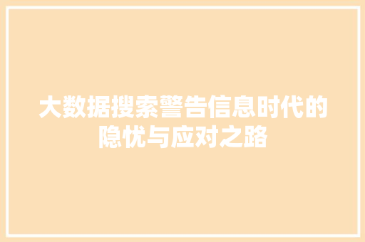 大数据搜索警告信息时代的隐忧与应对之路