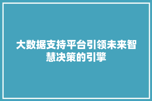 大数据支持平台引领未来智慧决策的引擎