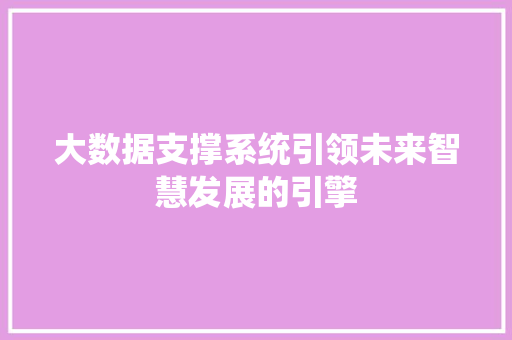 大数据支撑系统引领未来智慧发展的引擎
