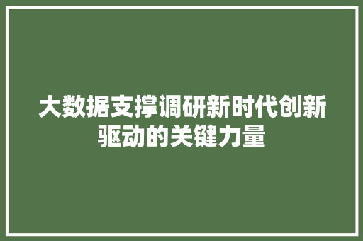 大数据支撑调研新时代创新驱动的关键力量