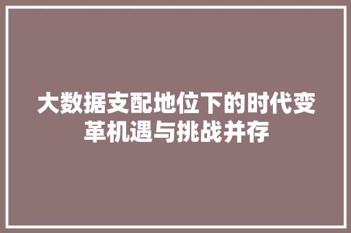 大数据支配地位下的时代变革机遇与挑战并存