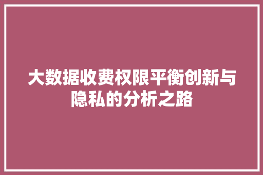 大数据收费权限平衡创新与隐私的分析之路