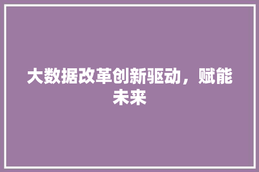大数据改革创新驱动，赋能未来