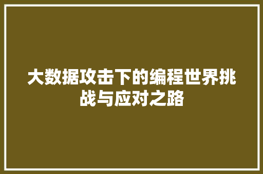 大数据攻击下的编程世界挑战与应对之路