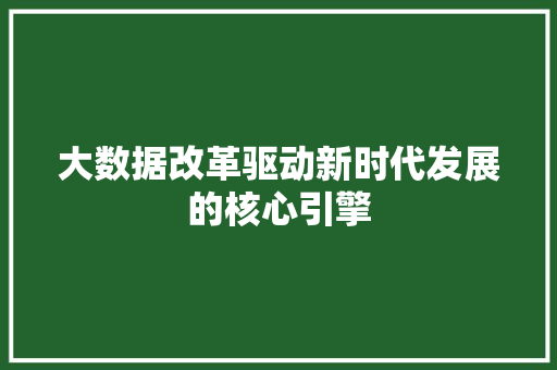 大数据改革驱动新时代发展的核心引擎
