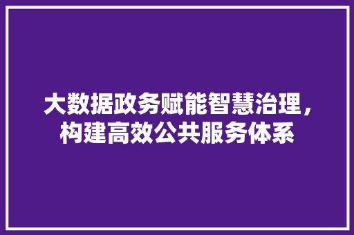 大数据政务赋能智慧治理，构建高效公共服务体系