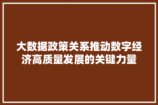 大数据政策关系推动数字经济高质量发展的关键力量