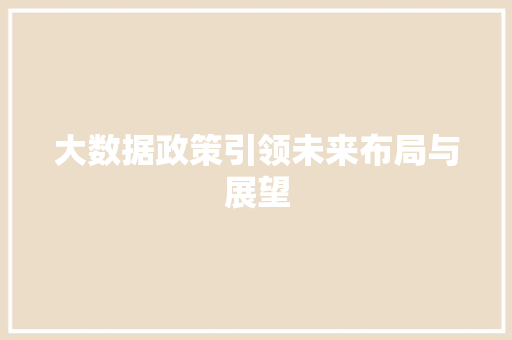 大数据政策引领未来布局与展望