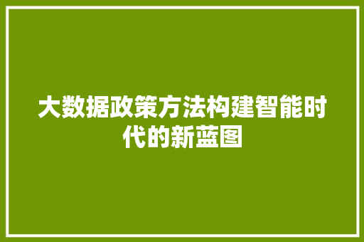 大数据政策方法构建智能时代的新蓝图