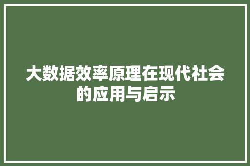大数据效率原理在现代社会的应用与启示
