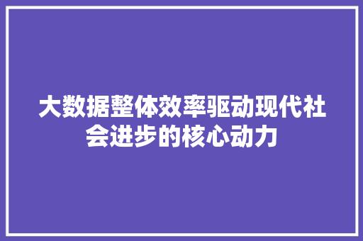 大数据整体效率驱动现代社会进步的核心动力 大数据整体效率驱动现代社会进步的核心动力
