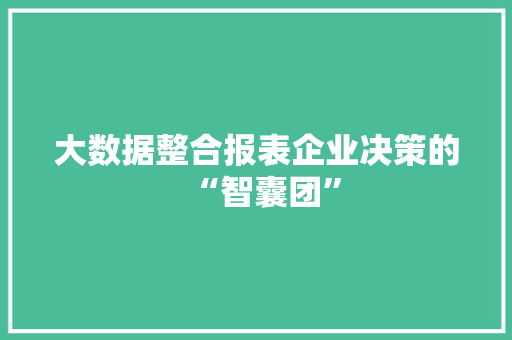 大数据整合报表企业决策的“智囊团” 大数据整合报表企业决策的“智囊团”