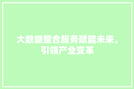 大数据整合服务赋能未来，引领产业变革