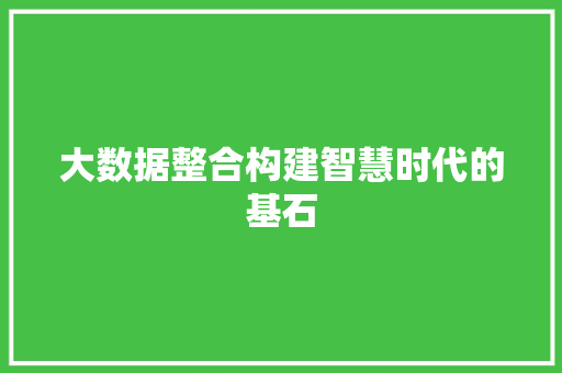 大数据整合构建智慧时代的基石